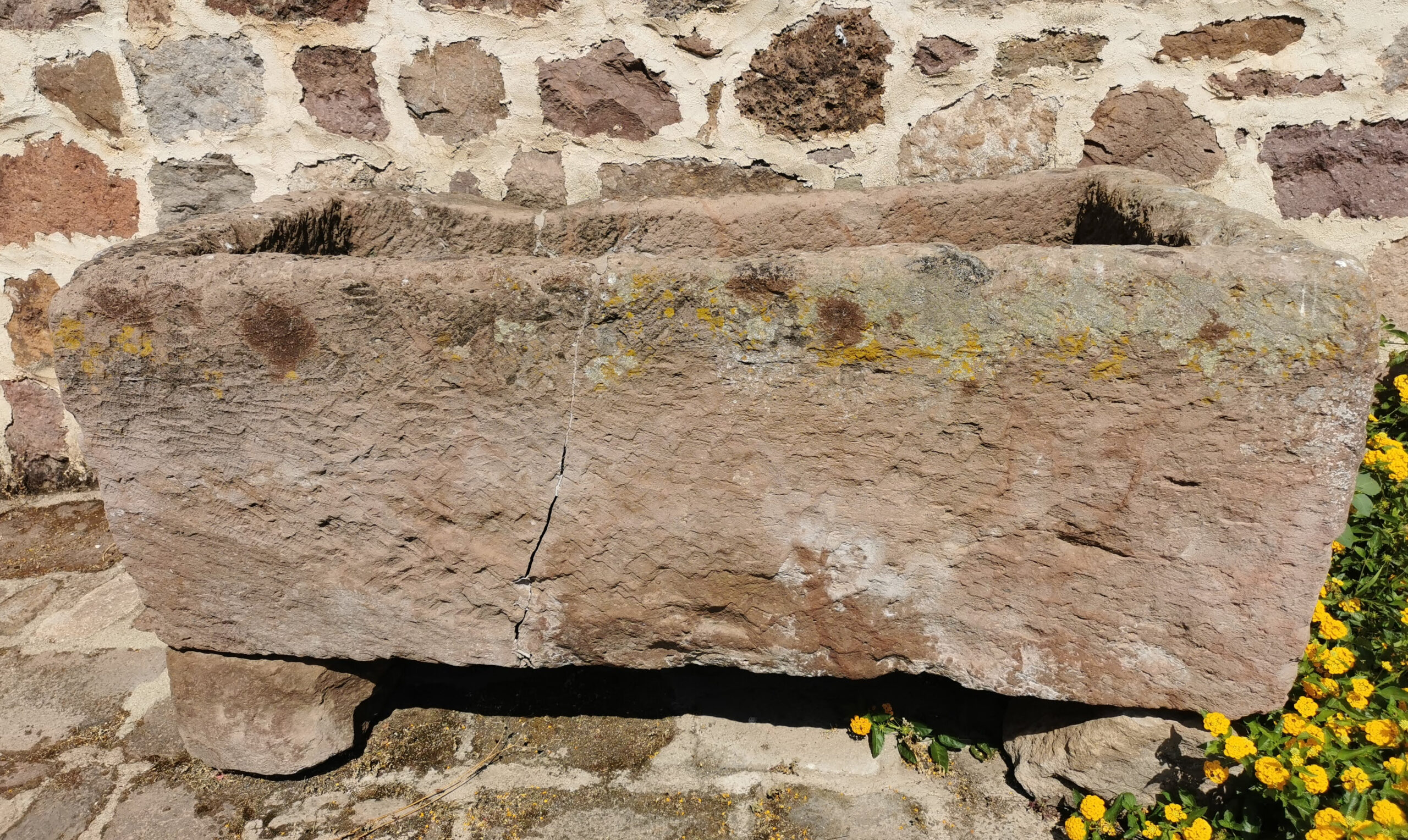 Vasca per la pigiatura