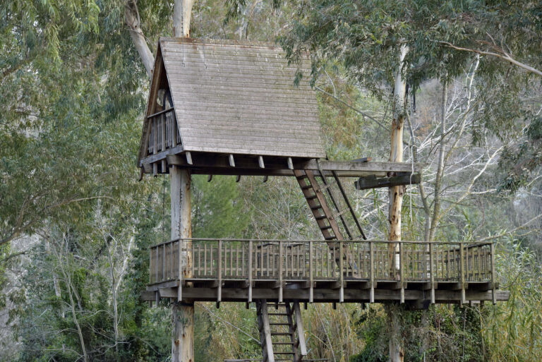 La Casa sull’albero